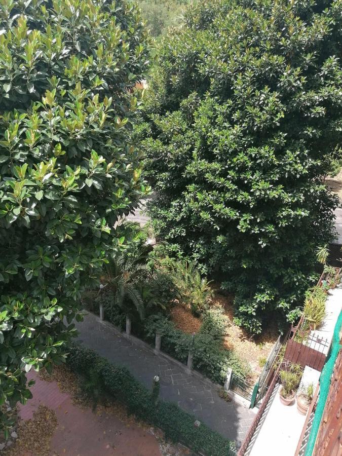 Amedeo Square Bed & Breakfast Napoli Exterior foto
